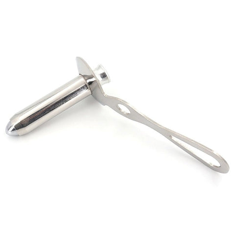 Chelsea-Eaton Anal Speculum by BDStyle