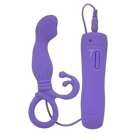 Little Turtle Prostate Stimulator Vibrating by Aphrodisia