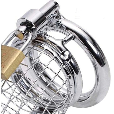 Caged Dragon Male Chastity Device Silver