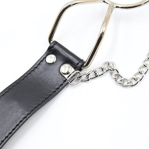 Spider Mouth Gags and Nipple Clamps by BDStyle