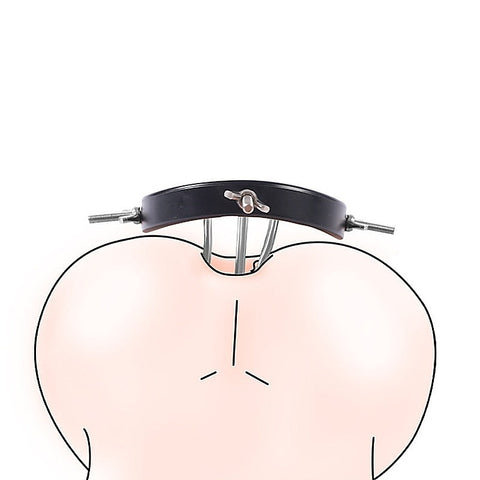 Anal Spreader by BDStyle