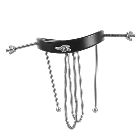 Anal Spreader by BDStyle