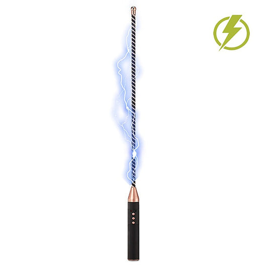 Rechargeable Electro-Stimulation Pleasure Cane by BDStyle