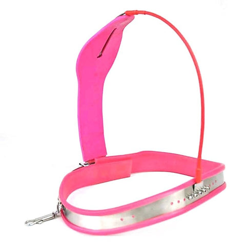Small Curve-T Female Chastity Belt by BDStyle