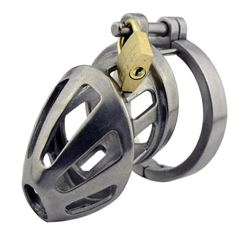 Stainless Steel Locking Cock Cage Chastity by BDStyle