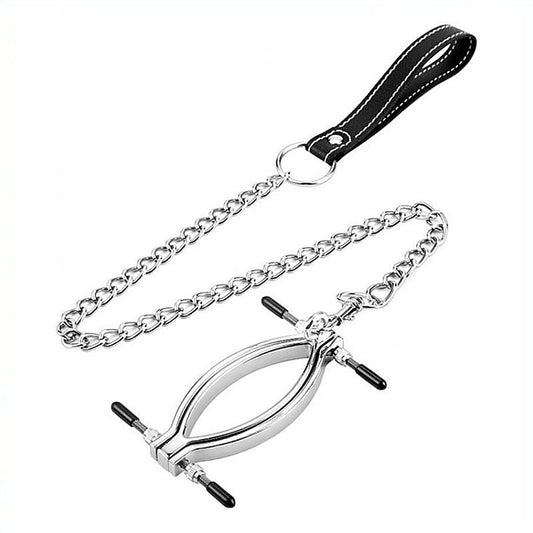 Labia Clip by BDStyle