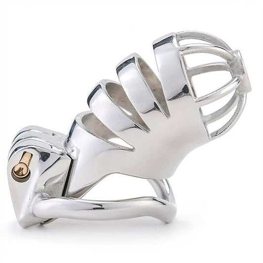 Bird Cage Chastity Device by BDStyle