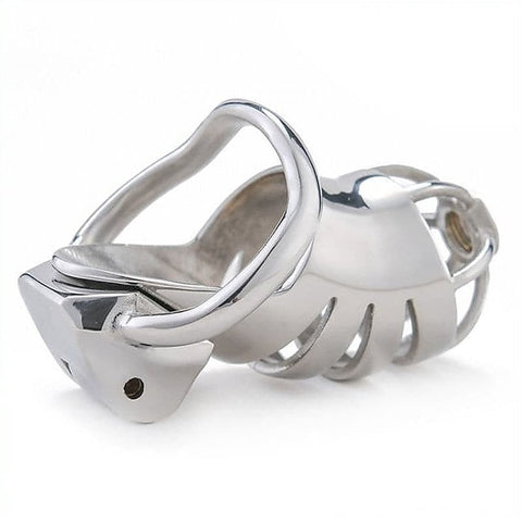 Bird Cage Chastity Device by BDStyle