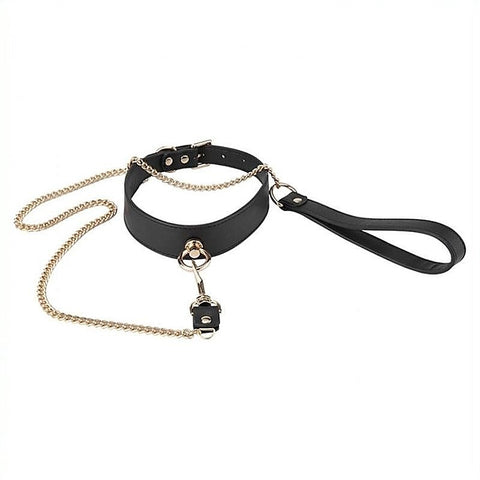 Golden Lead BDSM Collar by BDStyle