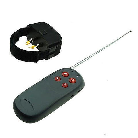 Electro Puppy Trainer by BDStyle