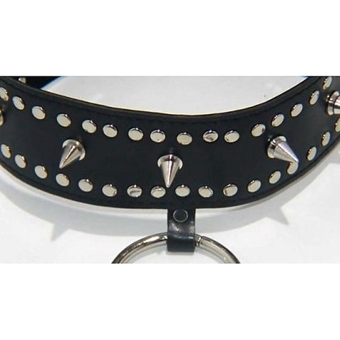 Fierce Faux Leather Bondage Collar by BDStyle