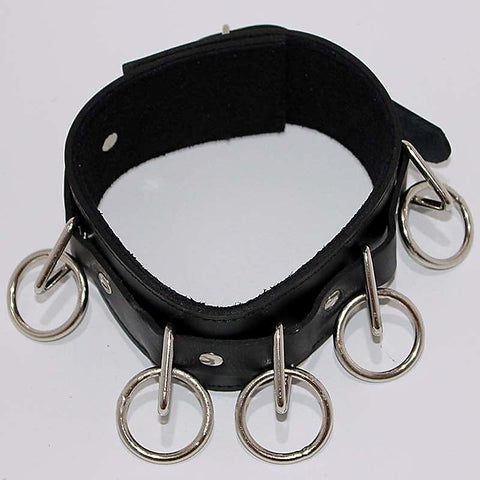 Wild Cat BDSM Pleasure-Control Collar-Lead Ensemble