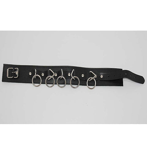 Wild Cat BDSM Pleasure-Control Collar-Lead Ensemble