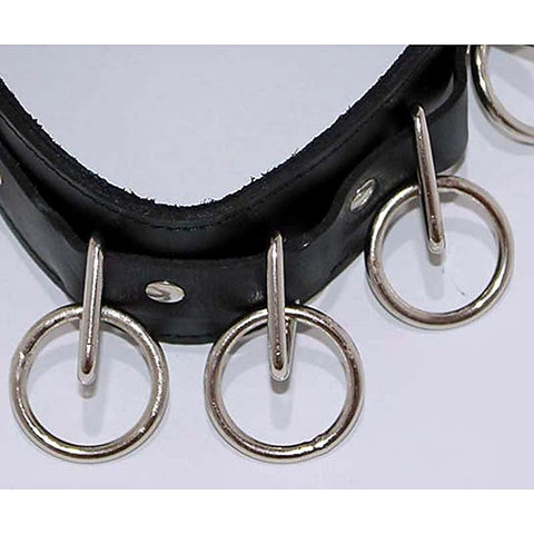 Wild Cat BDSM Pleasure-Control Collar-Lead Ensemble