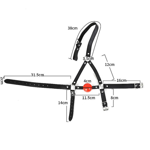 Ball Gag Head Harness by BDStyle
