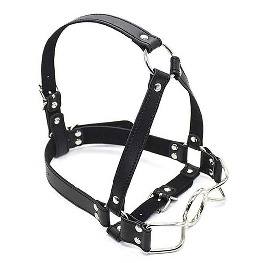 Spider Legs Mouth Gag with Harness by BDStyle