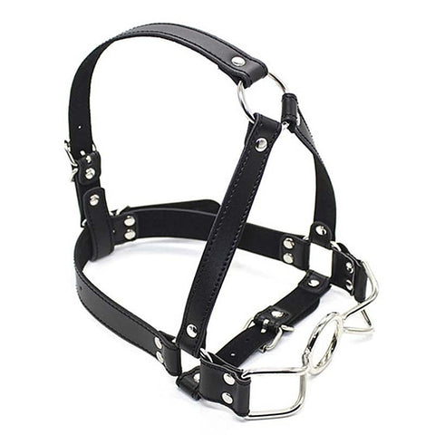 Spider Legs Mouth Gag with Harness by BDStyle