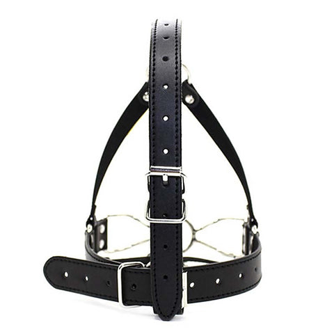 Spider Legs Mouth Gag with Harness by BDStyle