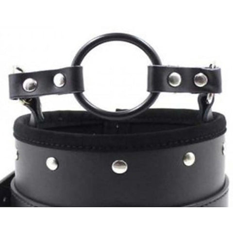 Posture Collar & O Ring Gag Heavy by BDStyle
