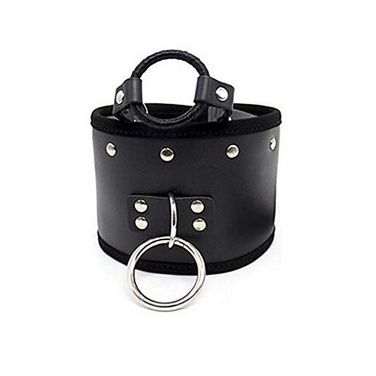 Posture Collar & O Ring Gag Light by BDStyle