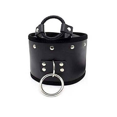 Posture Collar & O Ring Gag Light by BDStyle