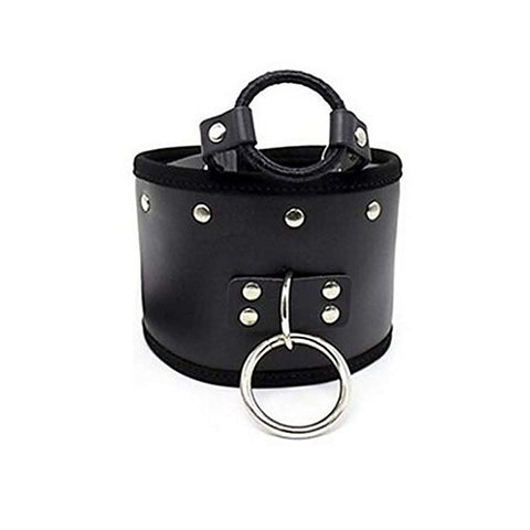 Posture Collar & O Ring Gag Light by BDStyle