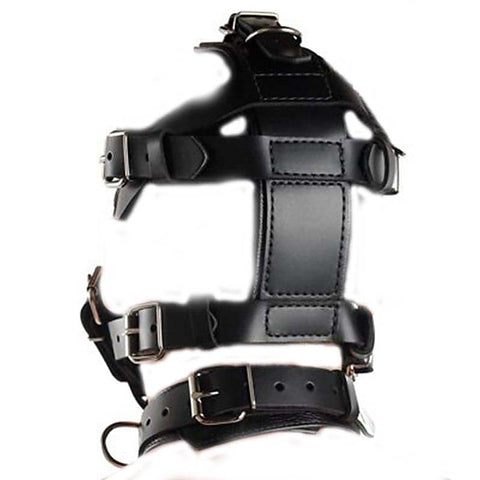 Head Harness & Muzzle Light by BDStyle