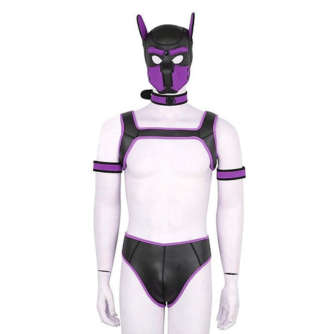 Dog Hood Bondage Kit by BDStyle