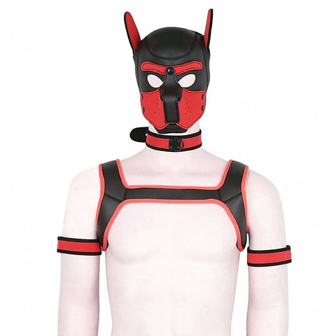 Dog Hood Bondage Kit by BDStyle