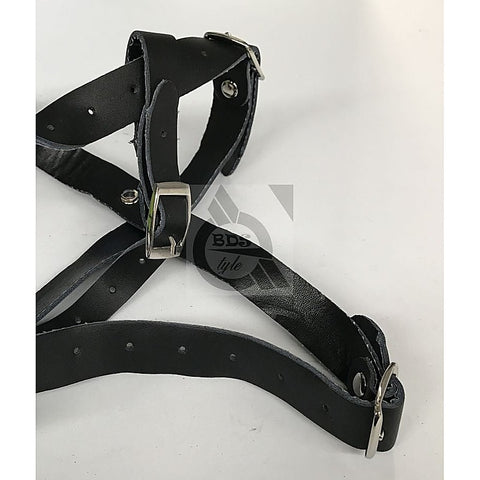 The Crucible Spider Gag With Nipple Clamps by BDStyle