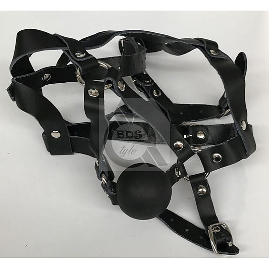 The Crucible Face Harness by BDStyle