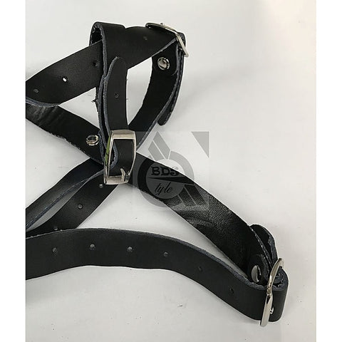The Crucible Face Harness by BDStyle