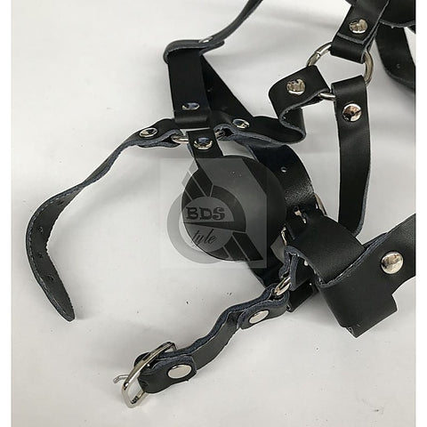 The Crucible Face Harness by BDStyle