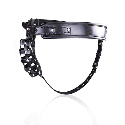 The Male Chastity Net by BDStyle