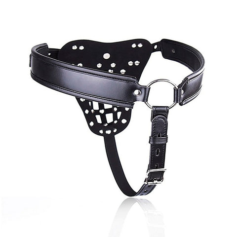 The Male Chastity Net by BDStyle