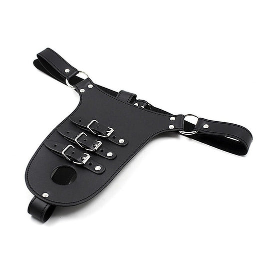 Male Chastity Harness with Penile Straps by BDStyle