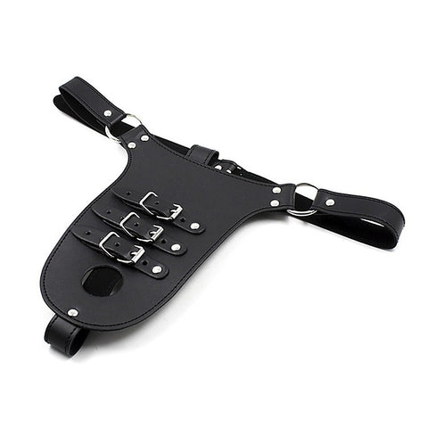 Male Chastity Harness with Penile Straps by BDStyle
