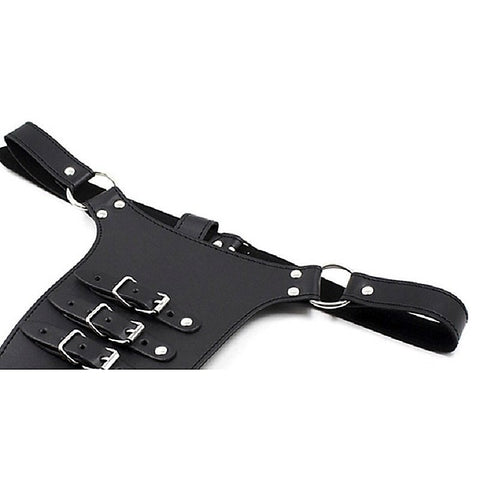 Male Chastity Harness with Penile Straps by BDStyle