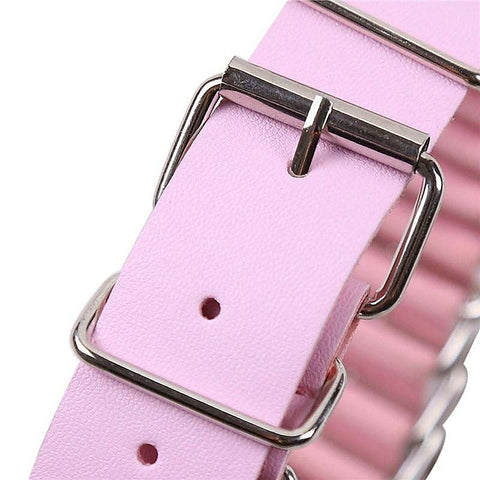 Dog-Clip Bondage Kit by BDStyle