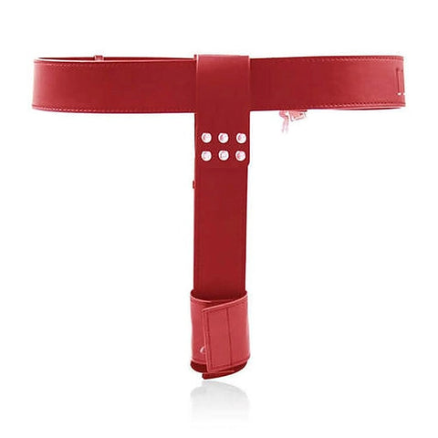 Female Chastity Belt With Double Vibration Plug by BDStyle