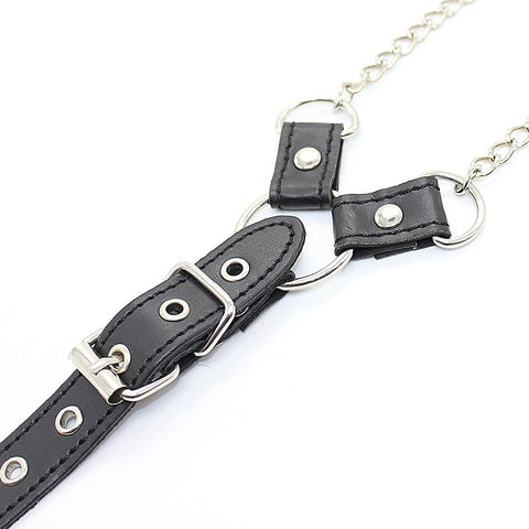 Nipple Clamps and Cock Ring by BDStyle