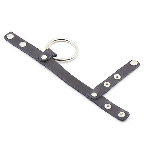 Cock Ring Harness With Ball Divider by BDStyle