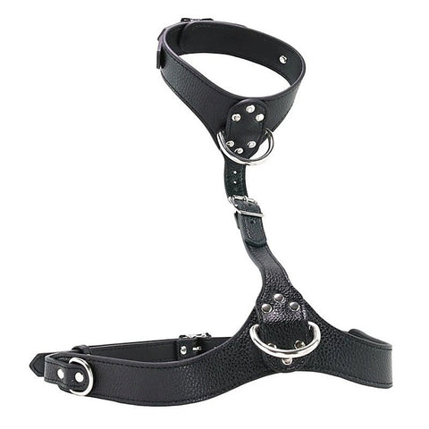 Female Chest Harness by XR Brands