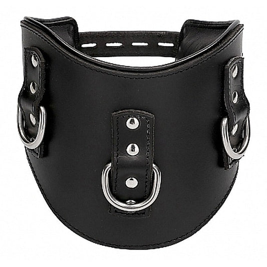 Heavy Duty Padded Posture Collar by Shots Toys