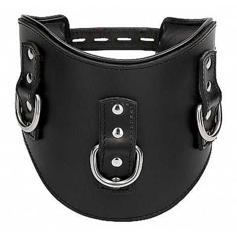 Heavy Duty Padded Posture Collar by Shots Toys