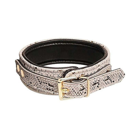 White Snake Print Microfiber Collar and Leash by Spartacus