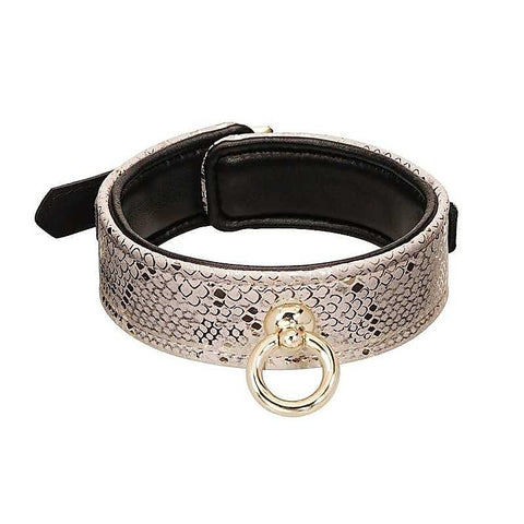 White Snake Print Microfiber Collar and Leash by Spartacus
