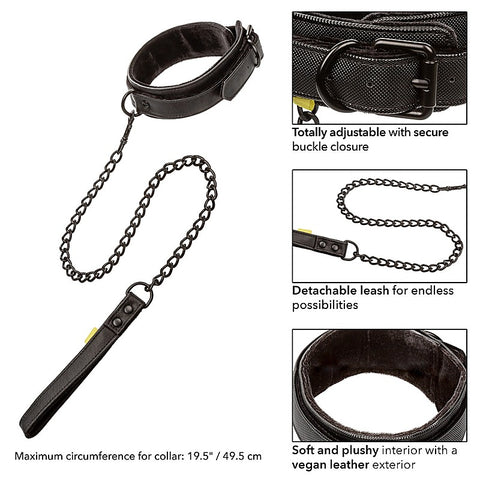 Boundless Bondage Collar and Leash by California Exotics