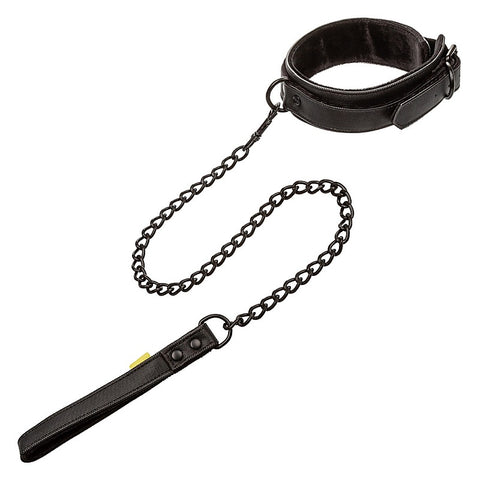 Boundless Bondage Collar and Leash by California Exotics