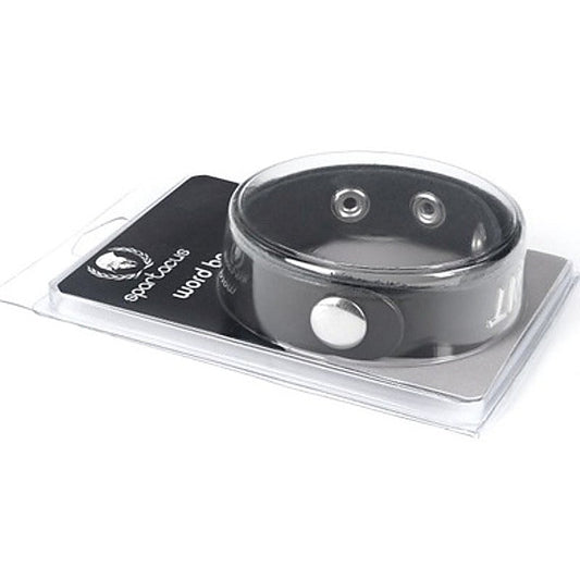 Wordband Collar by Spartacus Enterprises